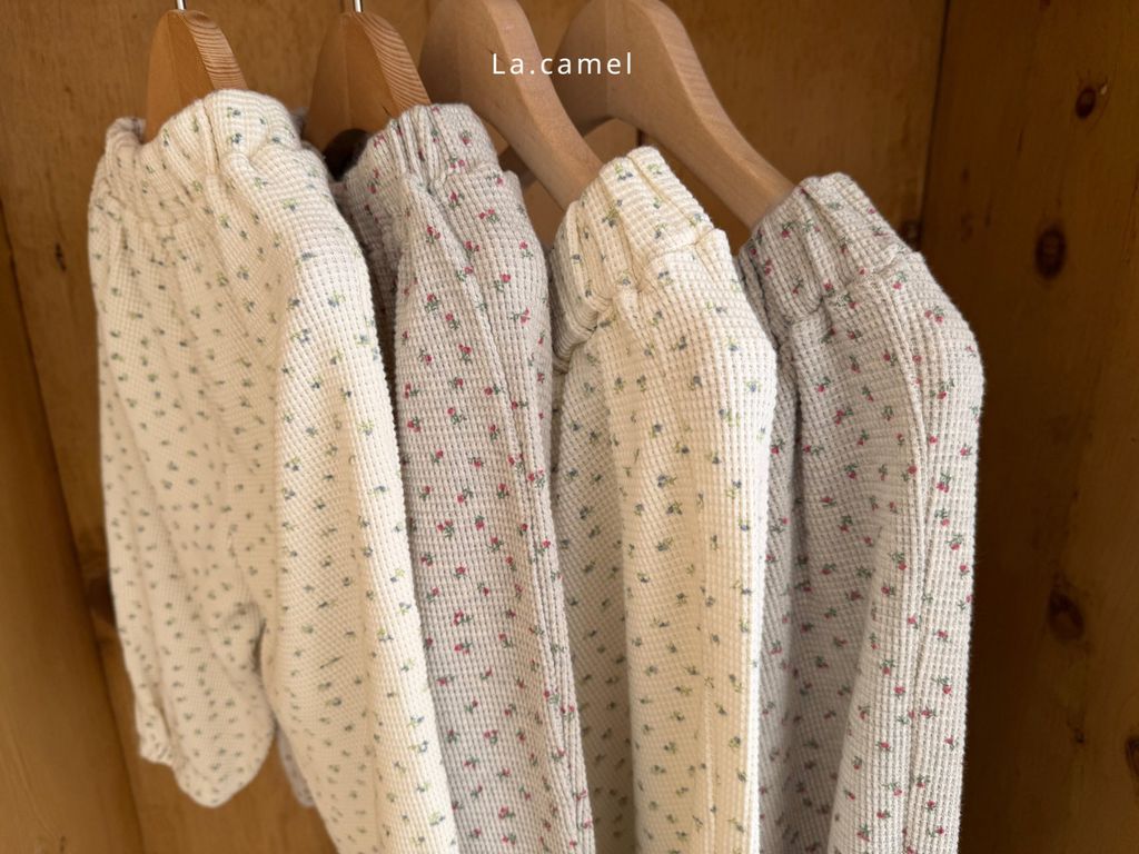 kakao_story_20260122_230411_433686