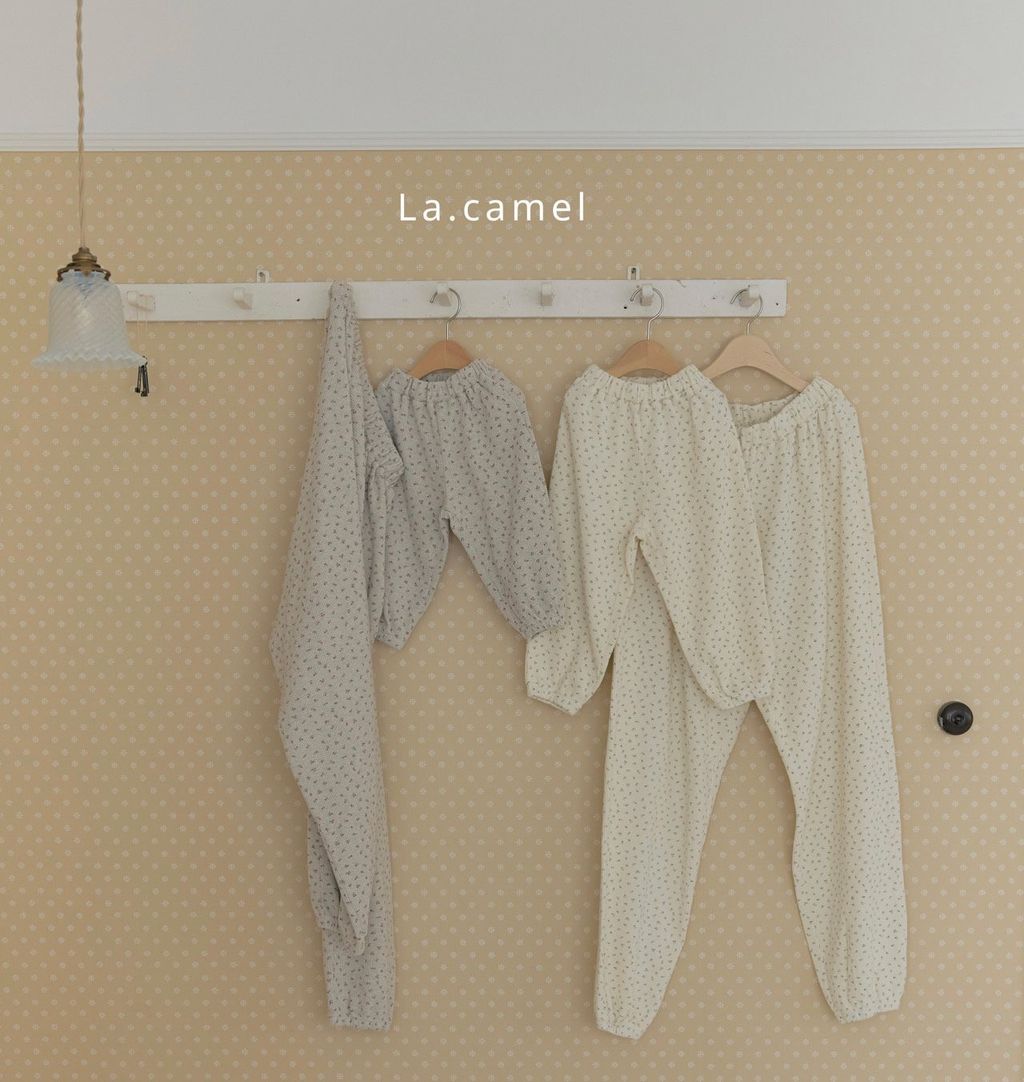 kakao_story_20260122_230411_688850