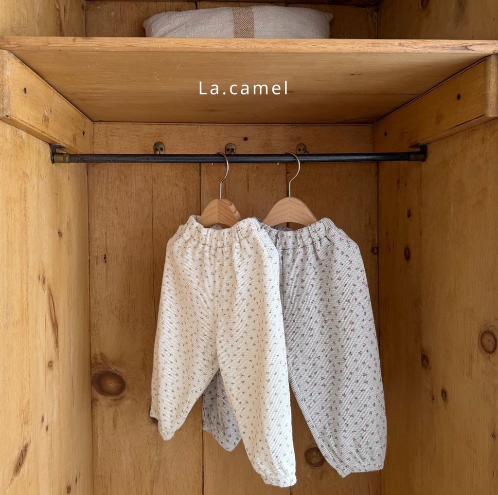 kakao_story_20260122_230507_938132