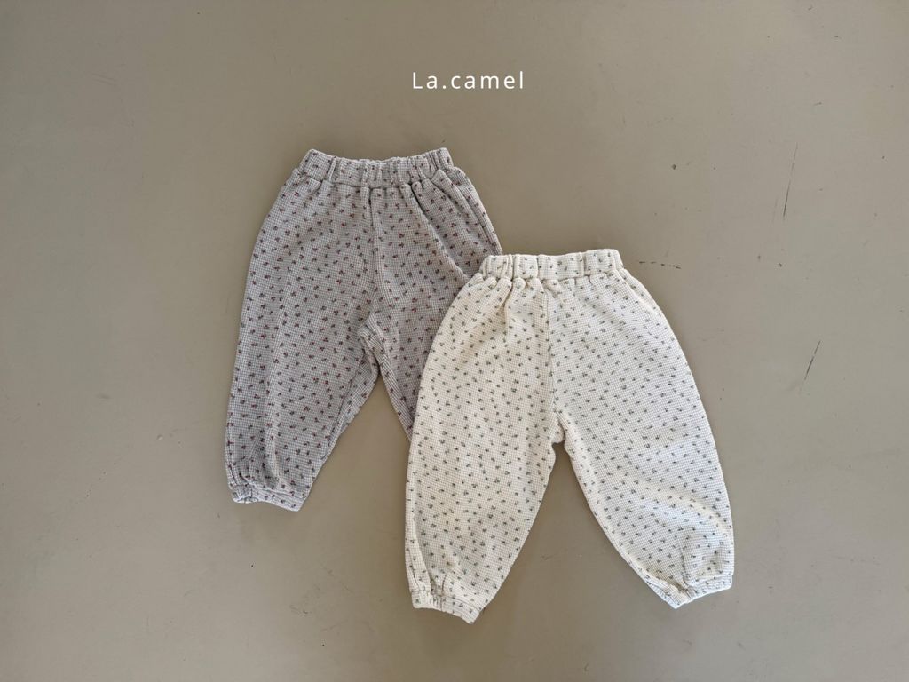 kakao_story_20260122_230507_745080