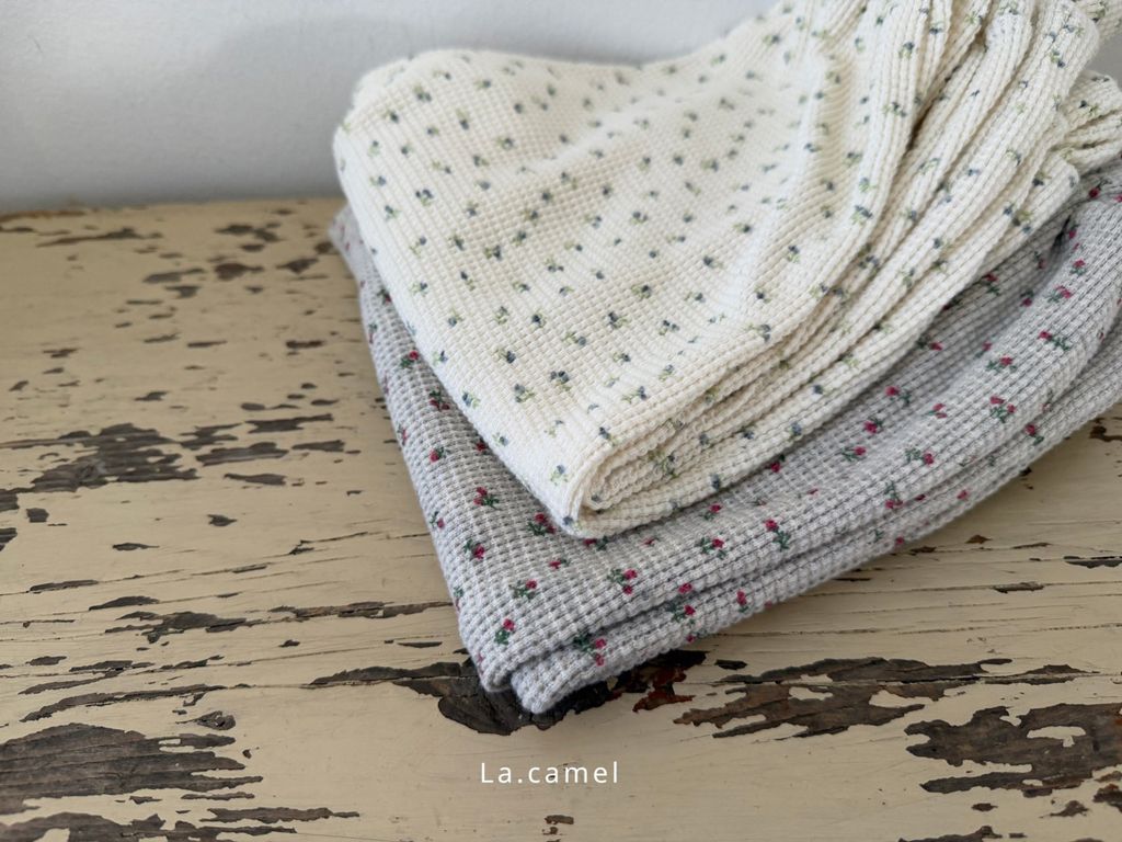 kakao_story_20260122_230411_521390