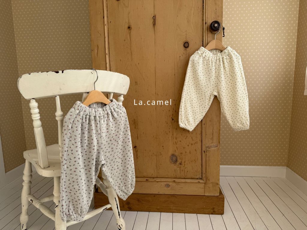 kakao_story_20260122_230508_425330