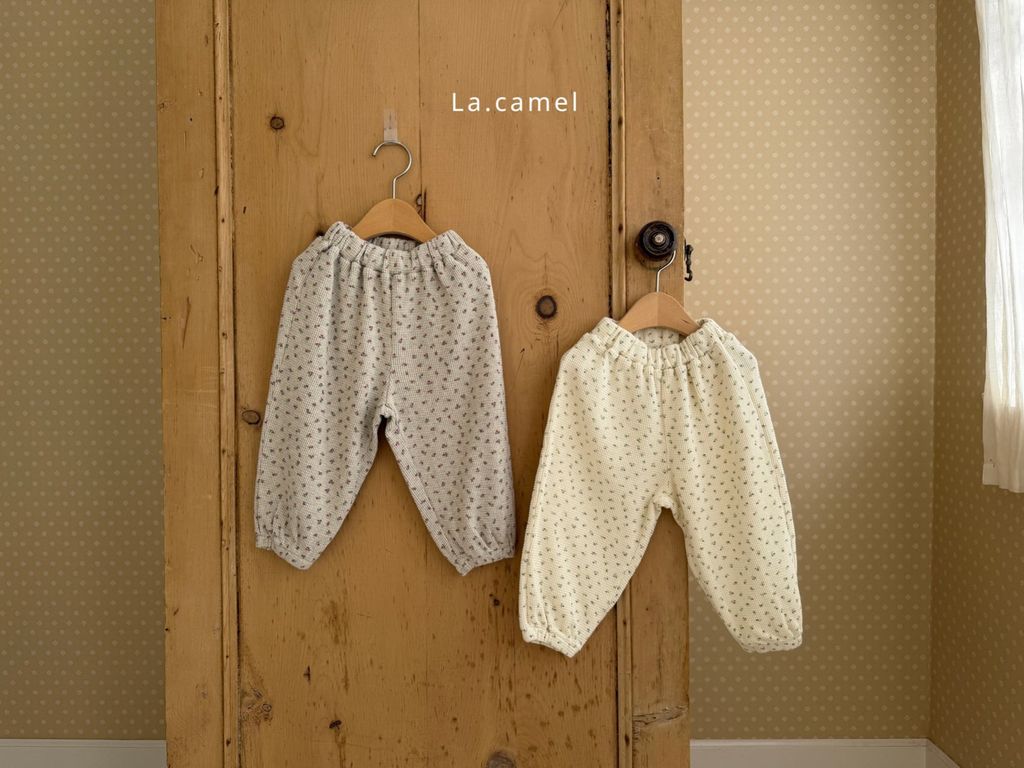 kakao_story_20260122_230508_341532