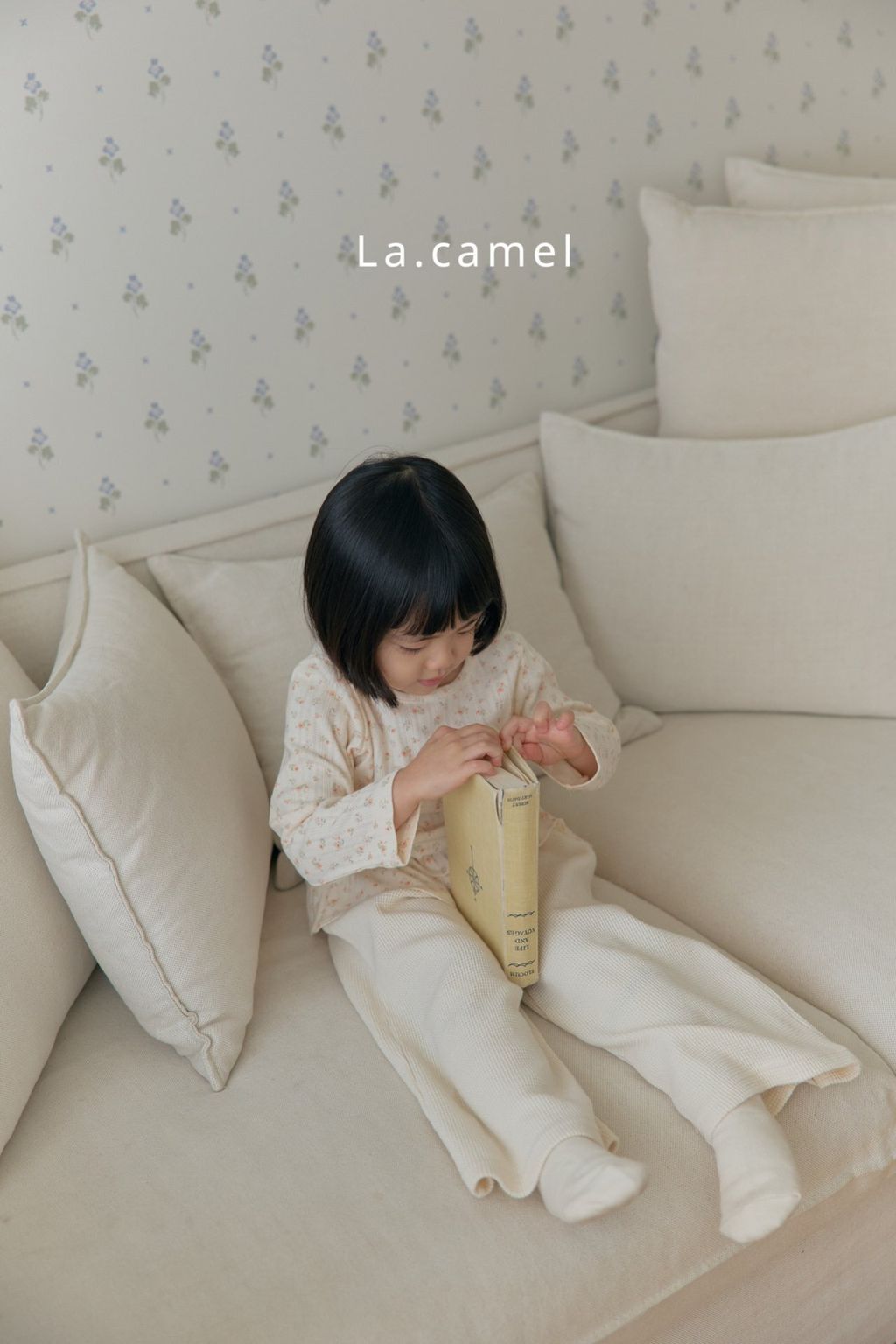 kakao_story_20260122_230850_614705