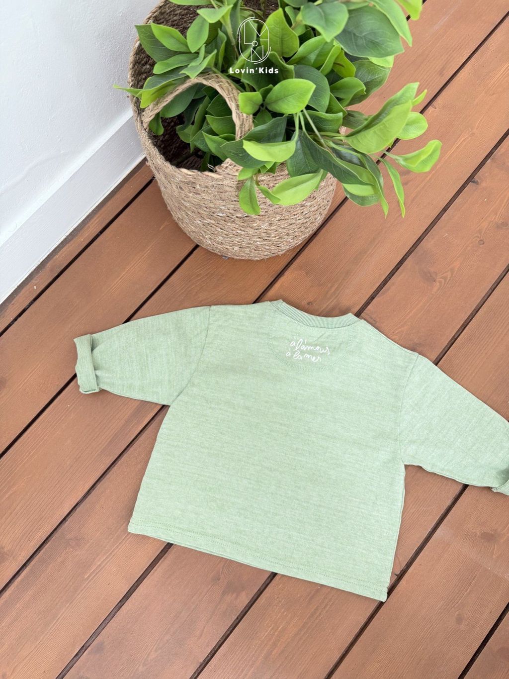 카카오스토리_2026_01_26 12_34_31