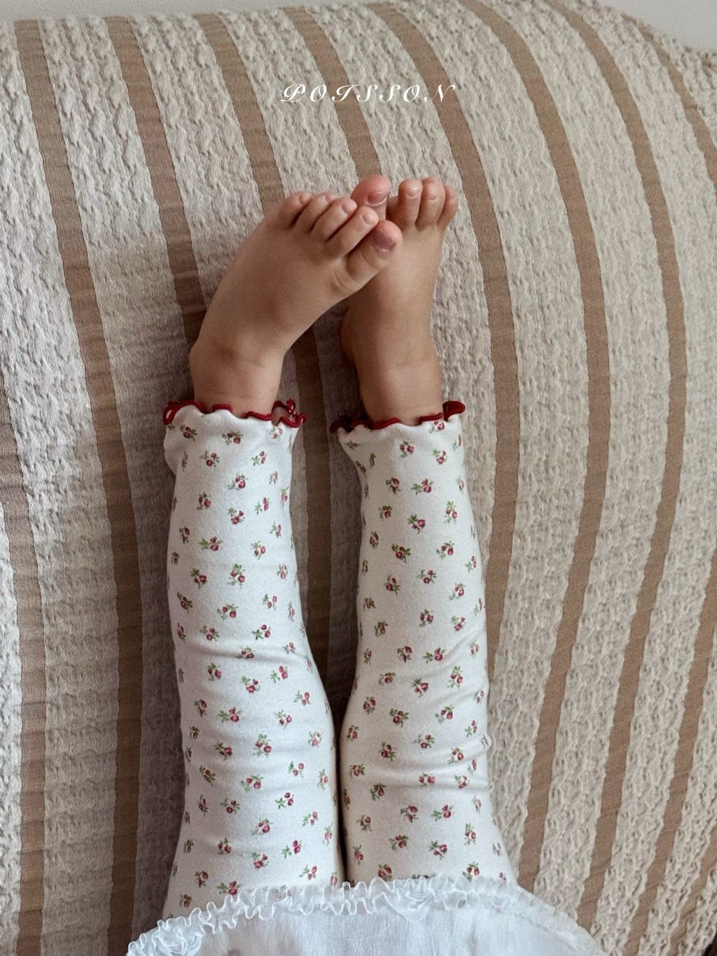 kakao_story_20260130_233337_729750