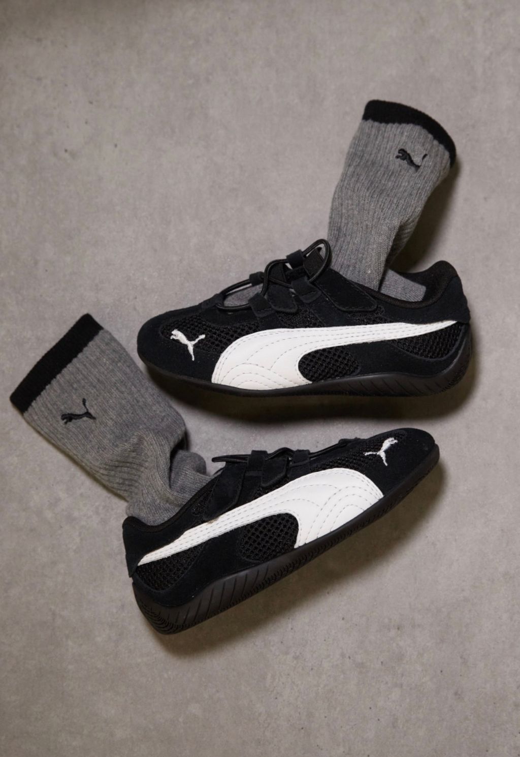 image_919F6CF5-5E29-4C42-BC40-D09C5D532335_1770296700