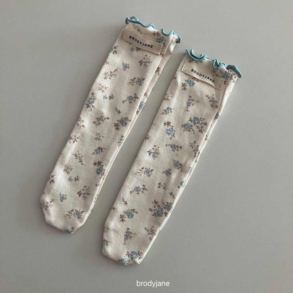 카카오스토리_2026_02_19 00_19_04