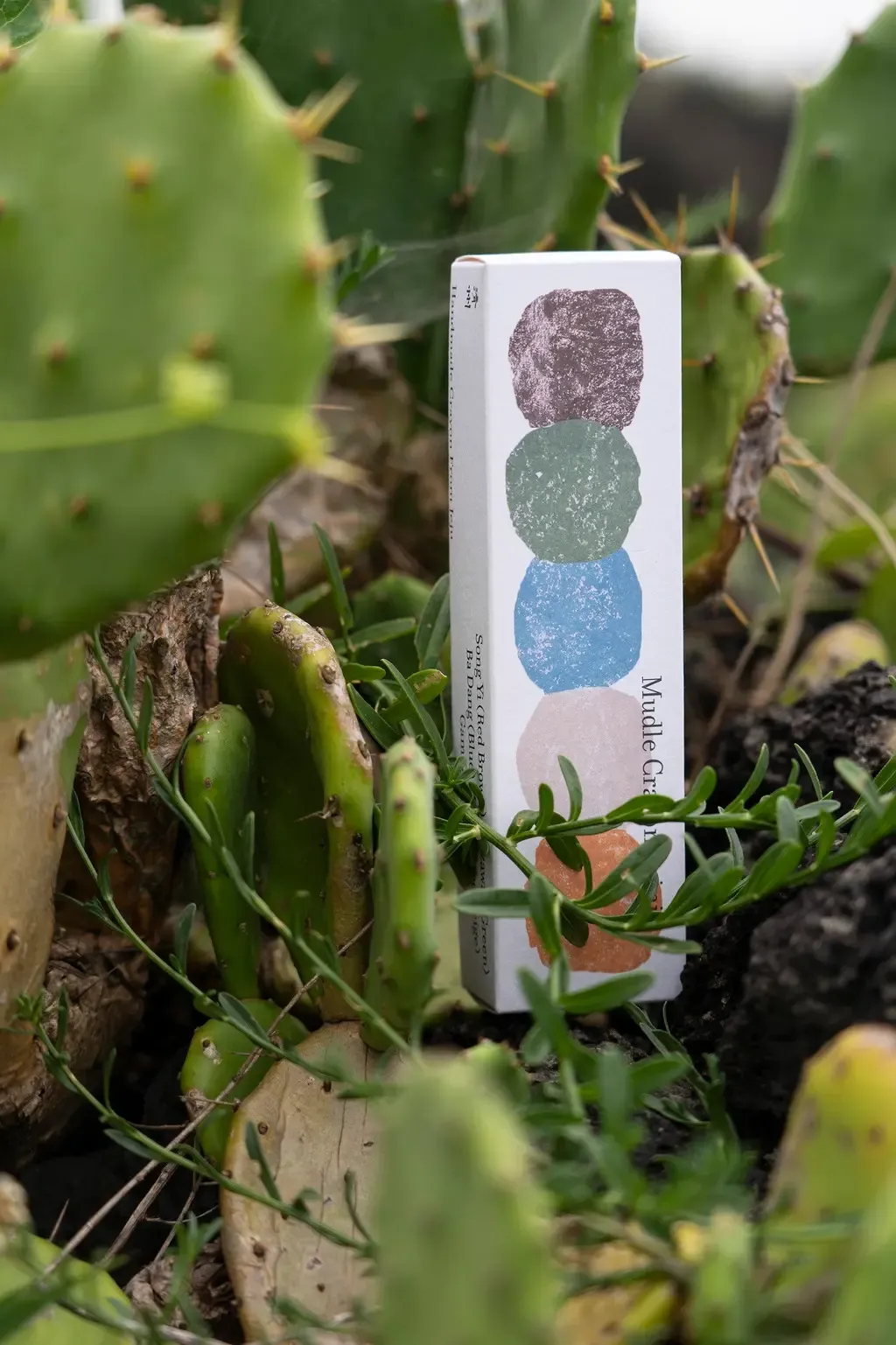 image_8DAABD1A-D9BA-413F-9A73-F7DA541568F2_1772156978