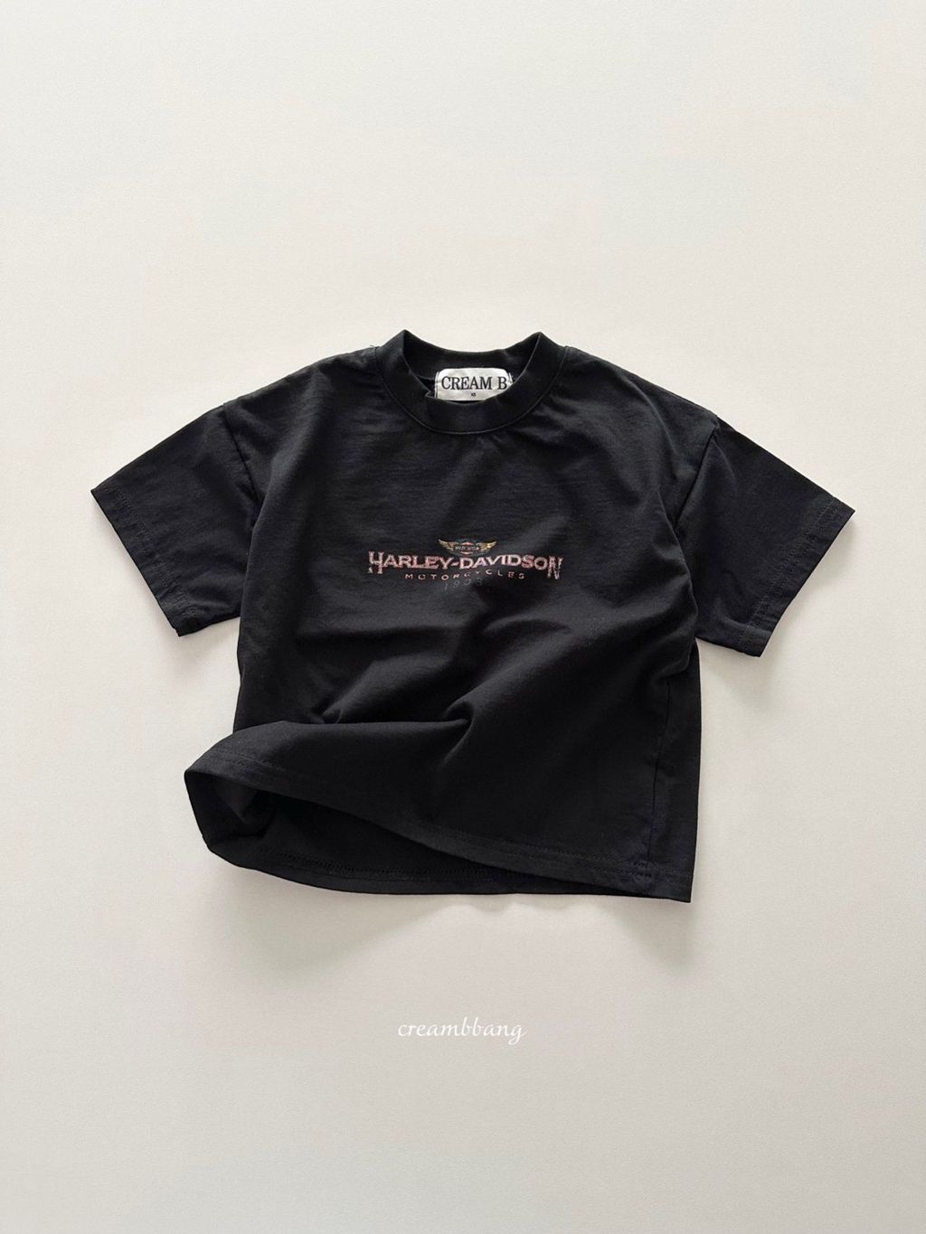 카카오스토리_2026_02_23 09_33_01