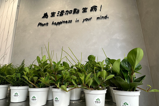 你的植物健康專家 | 植春樹 植物健康專家