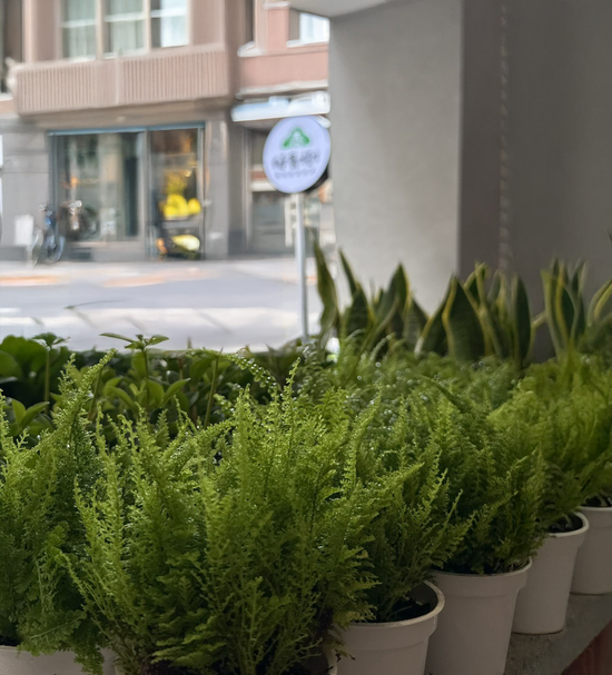  | 植春樹 植物健康專家