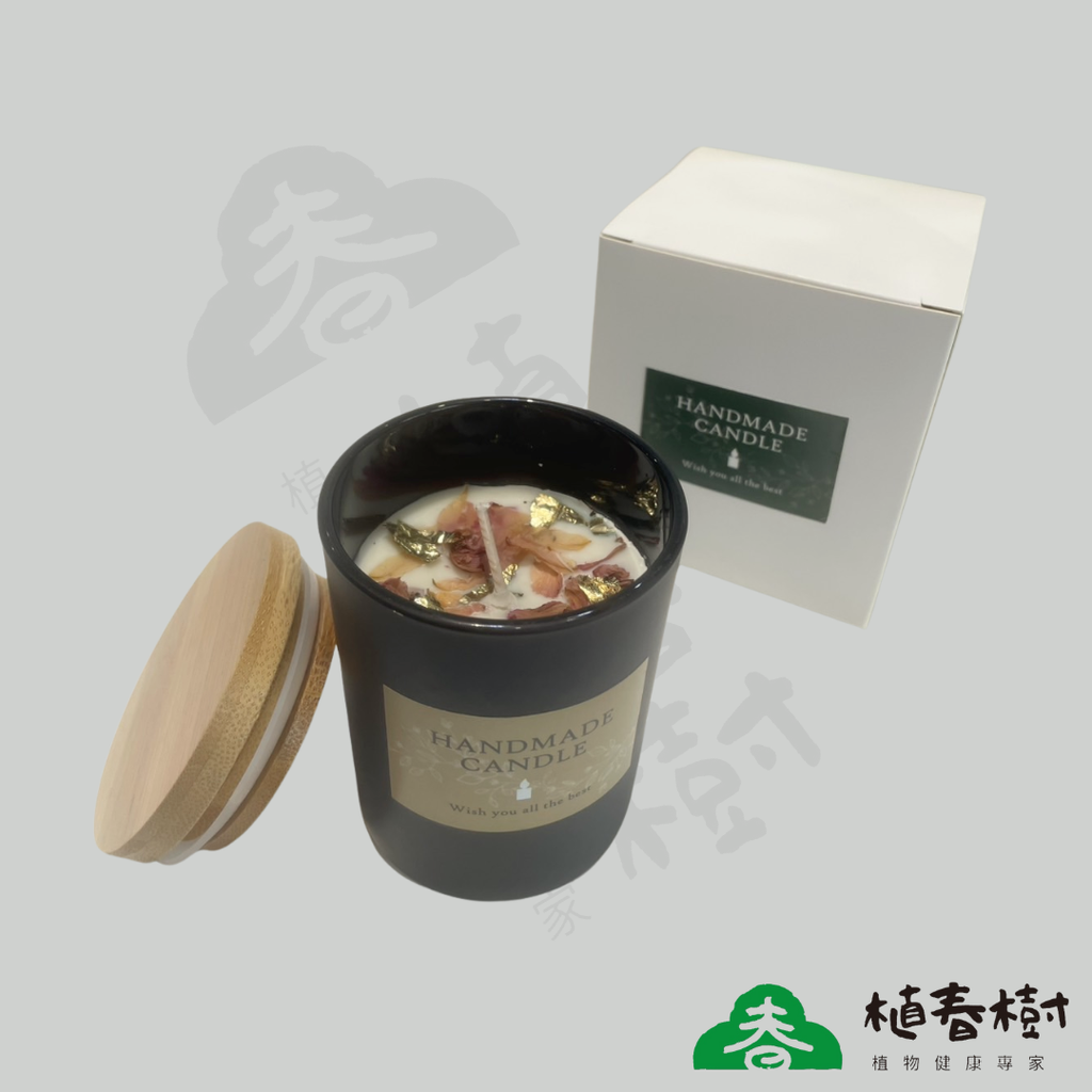 植春樹產品2025 (13)