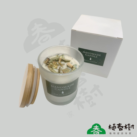 植春樹產品2025 (12)