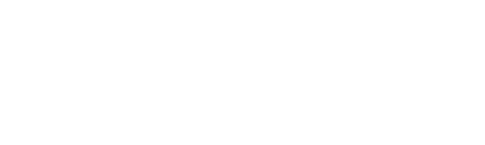 Bujingee