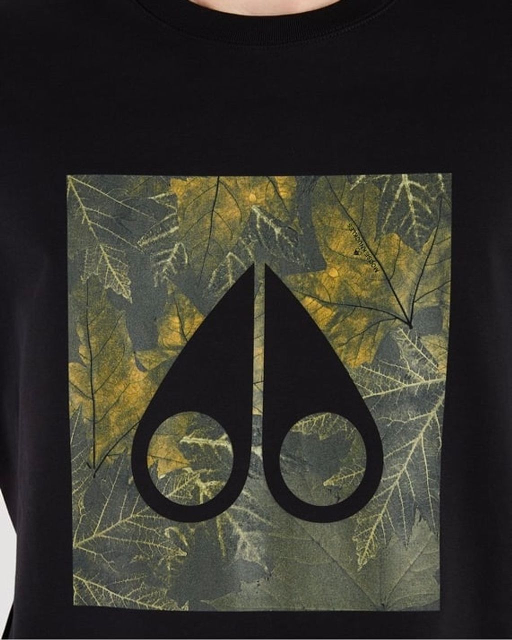 image_F6782989-1E0B-4919-BE1A-AAA13B5A030B_1763440830