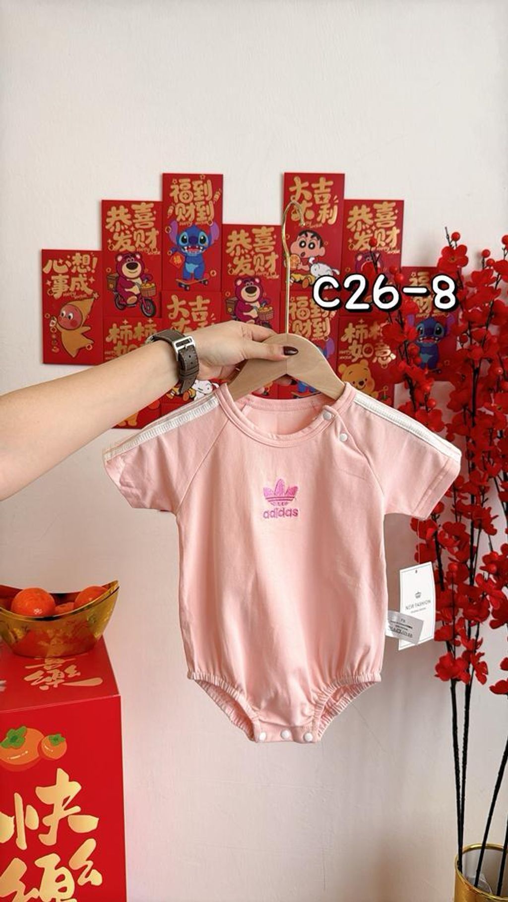 WhatsApp Image 2026-01-27 at 3.35.46 PM (2)