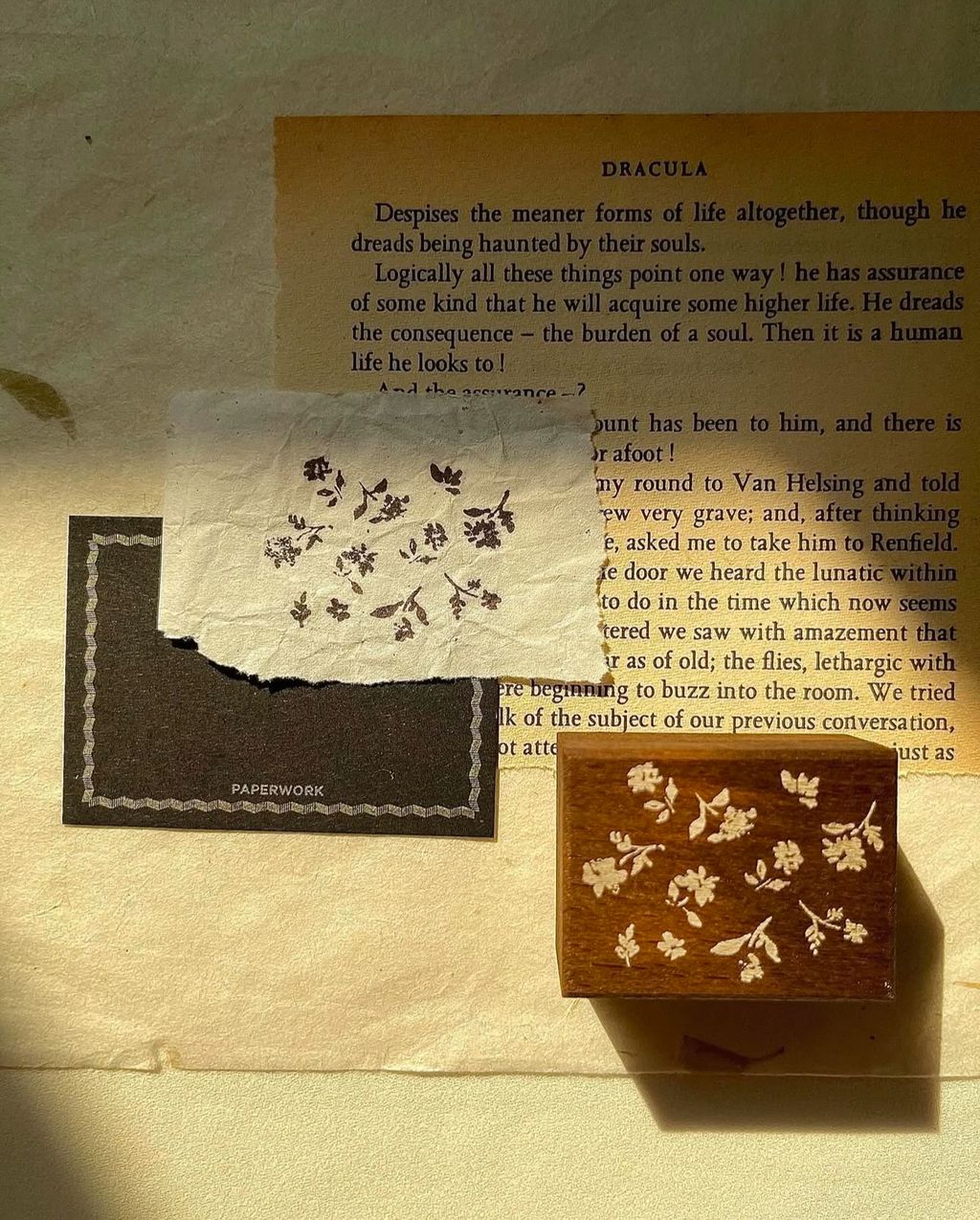 image_BAE128CE-4D23-41C7-839F-04449FDDE433_1763129770