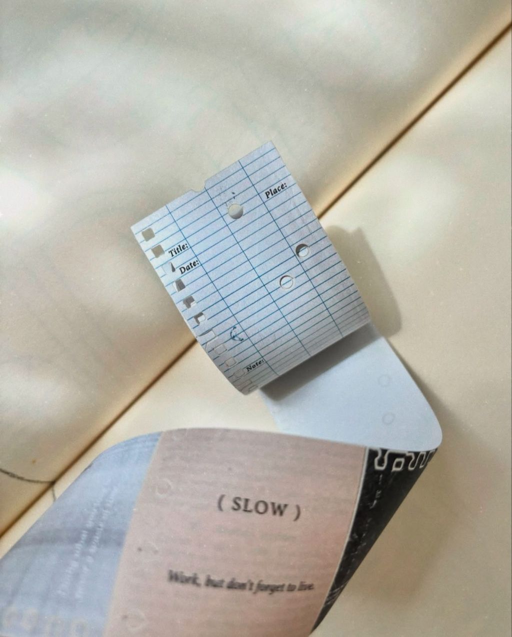 image_484D1665-F57E-4CA8-804A-8863F5A0936C_1763224513