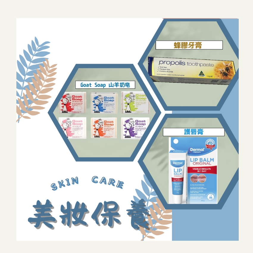 DailyGo 袋袋Go    |  - 