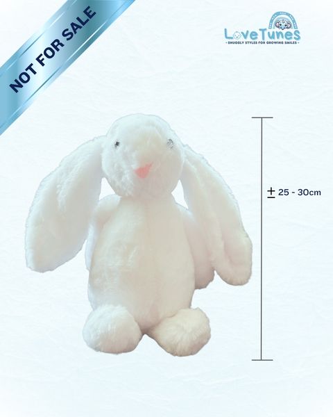 Bunny Plushie - January
