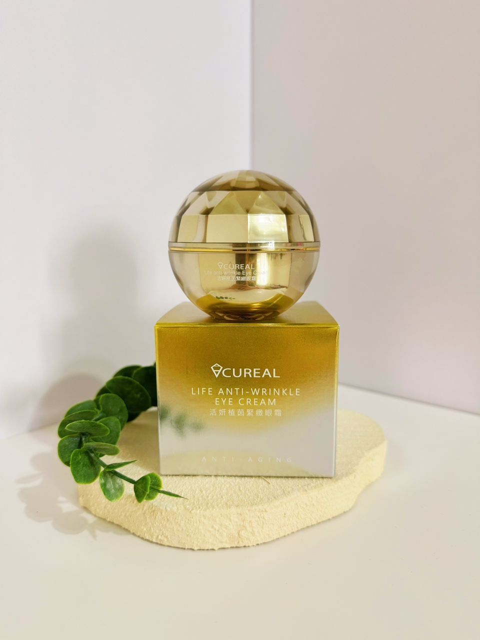 5a90e118-af13-4428-9bff-435b8989d972