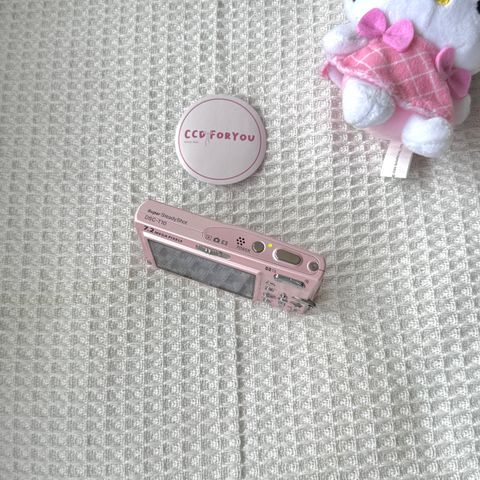 image_1D289575-AF20-4A4C-BA9C-85C2AC65FB9F_1774784573