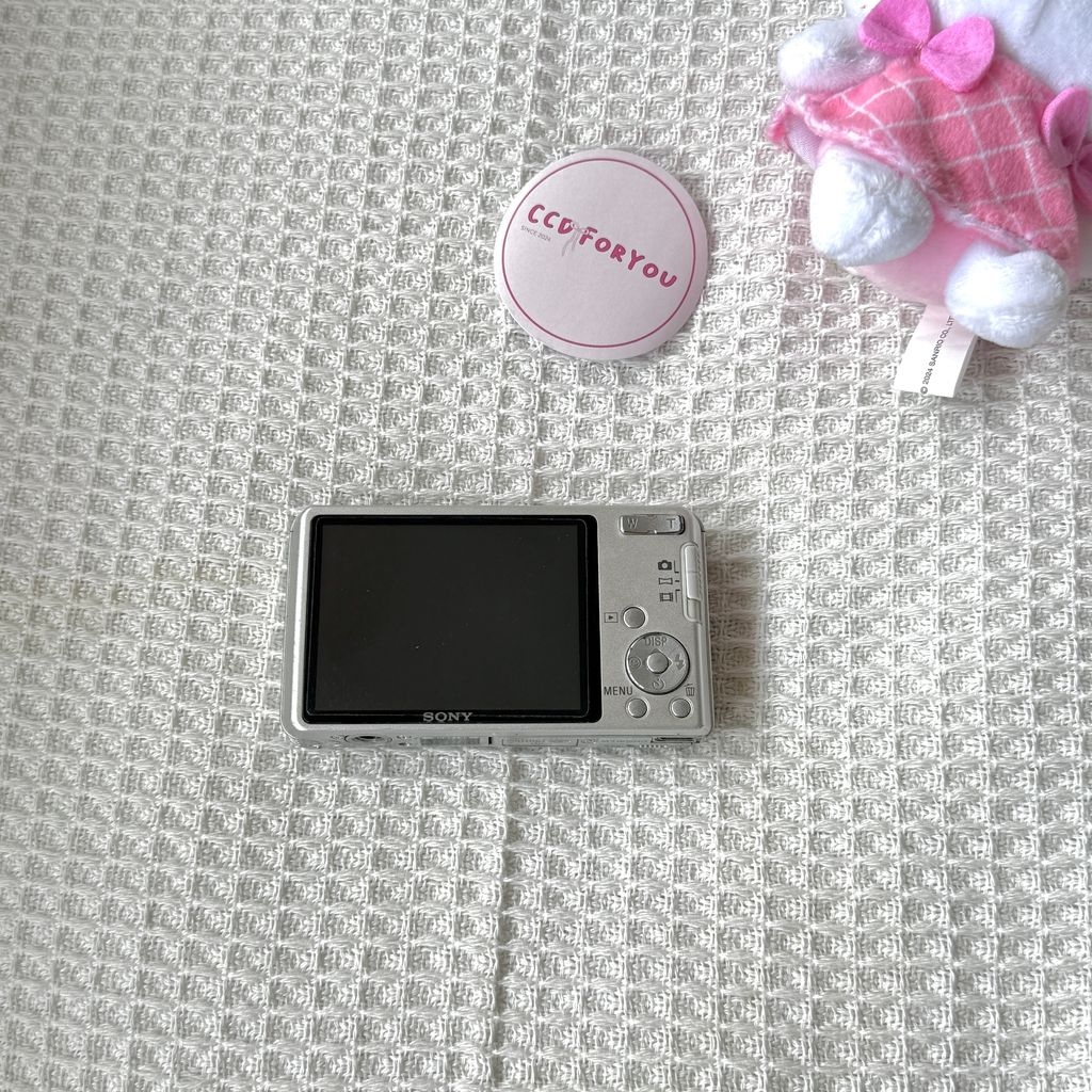 image_871D4C06-CA4E-4760-AF12-DAC38DDD47BD_1774784625