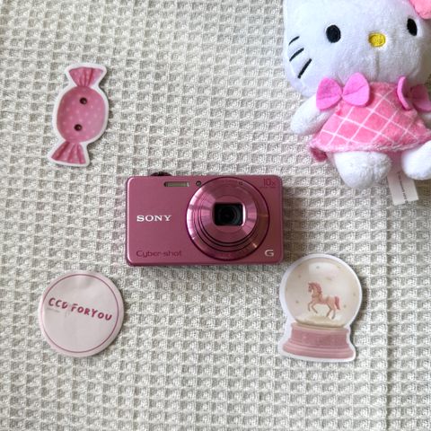image_82CA3021-41CF-413A-AD9C-DD198FDA0707_1775896338