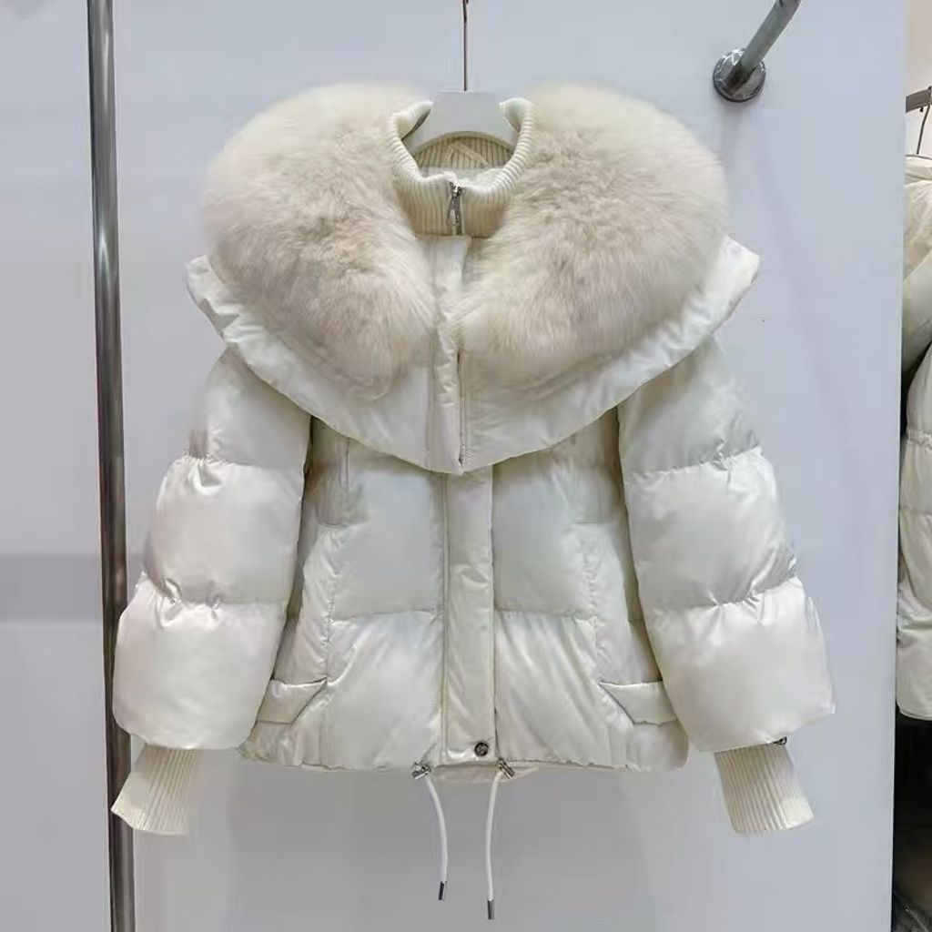 3098681dddd20bbaa1913fdc634466b