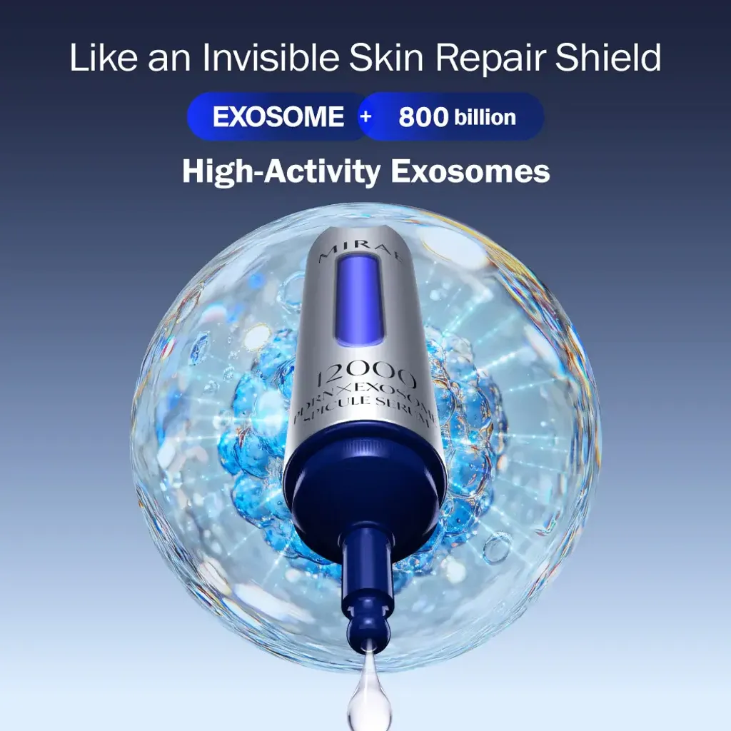 5_1daa00fb-95d8-4a32-b41c-3afa74b1fcbe