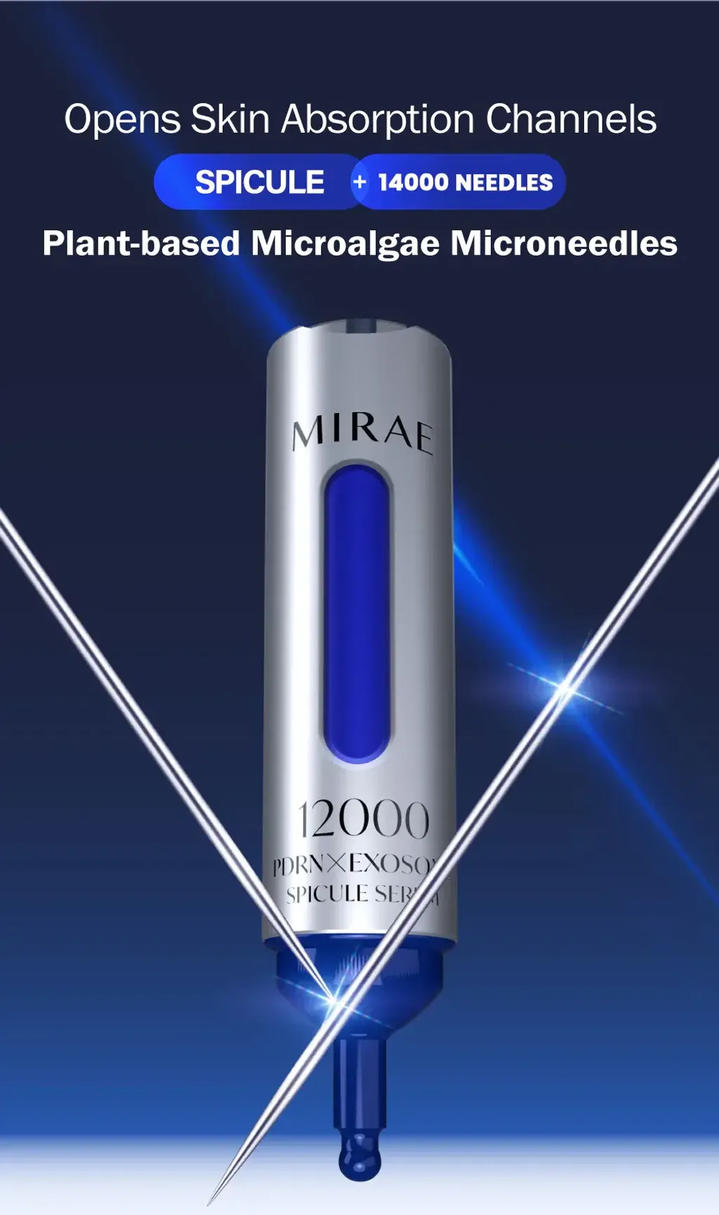 7_e60f7219-ebfb-4f46-9732-16df9d4406d0