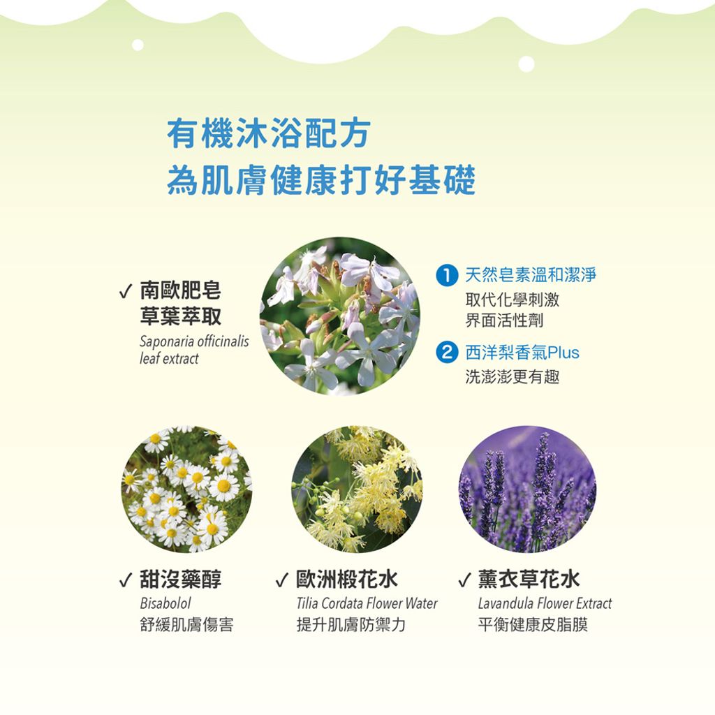 LOME西洋梨泡泡露-網頁_1000-4