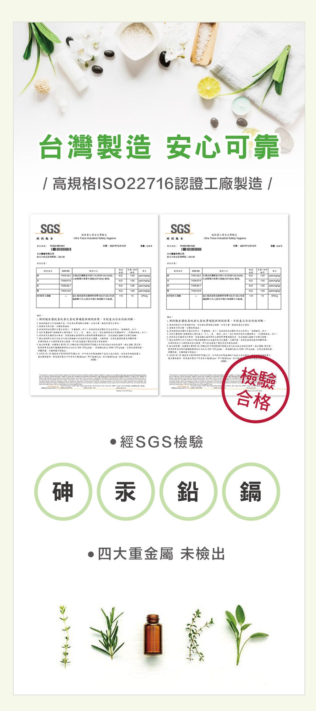 Sofei Hair Colour Lotion 3
