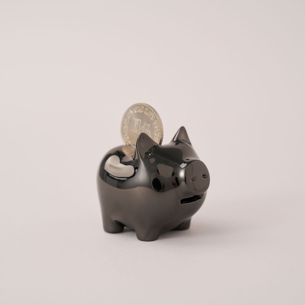 伍_亮鎳黑_右45度