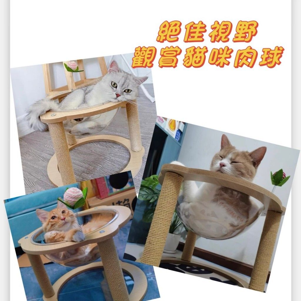 tw-11134207-7r98t-ltc1sjp48tsif5