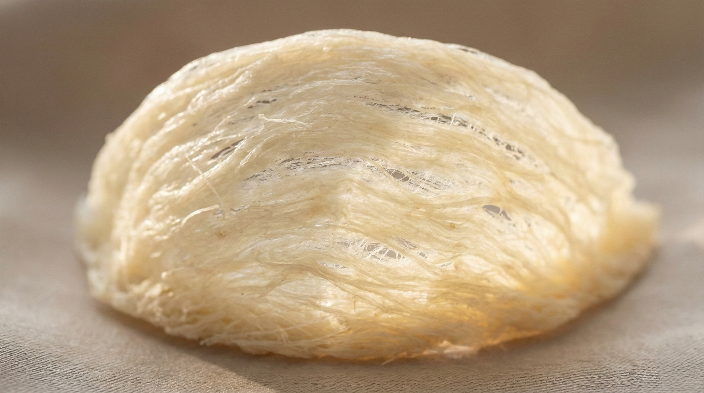 真假燕窩分辨：拒絕漂白死白燕窩