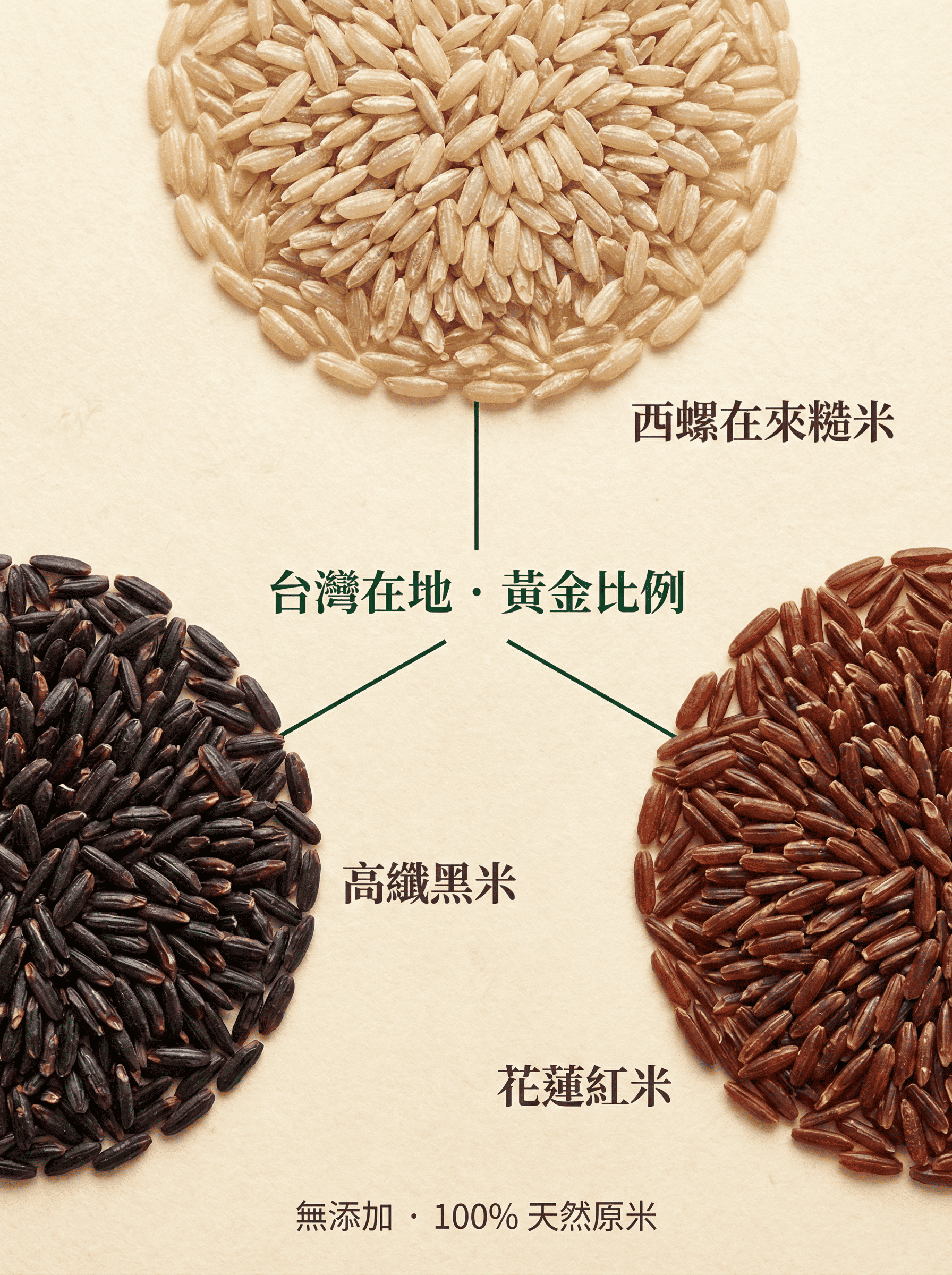 黑糙米非糯米-保留完整麩皮-不脹氣好消化