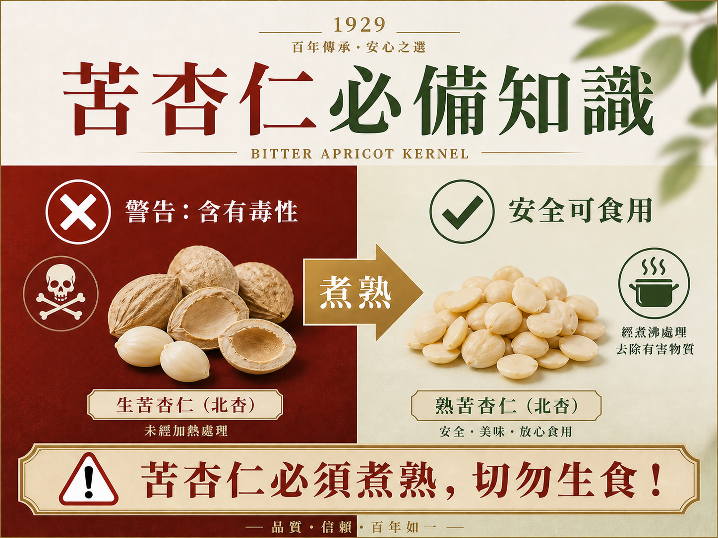 北杏與苦杏仁可以直接吃嗎？百年老店惠通行解答生杏仁正確處理法
