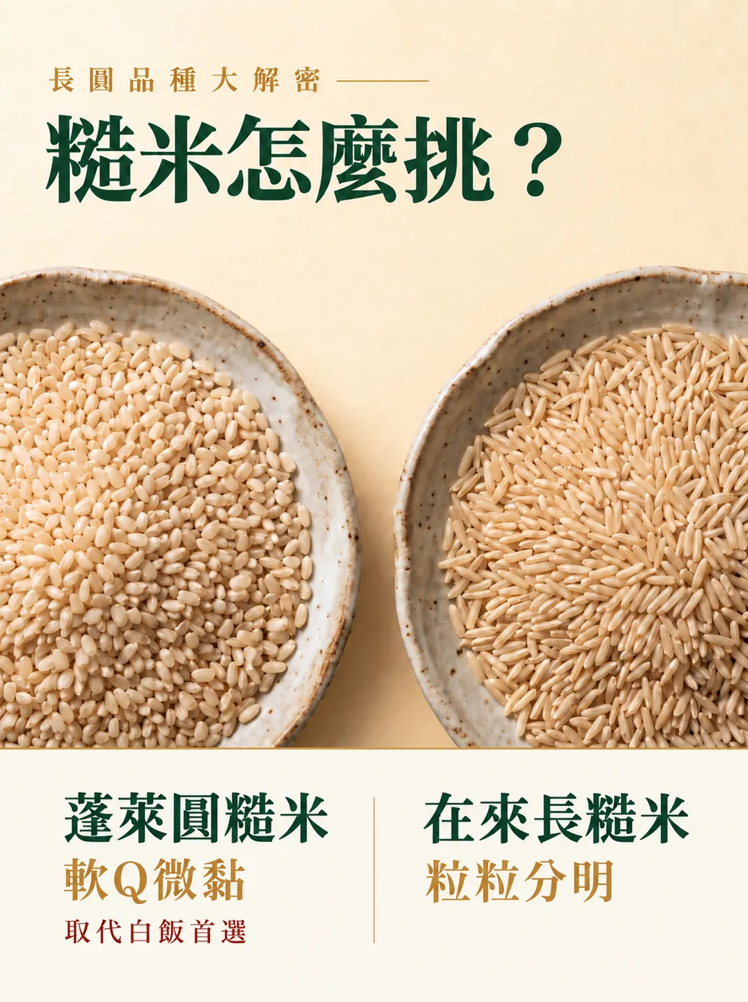 「糙米怎麼挑」比較圖。上方標題「長圓品種大解密」。左側陶碗盛著蓬萊圓糙米，文字標示其特點為「軟Q微黏」；右側陶碗盛著在來長糙米，文字標示其特點為「粒粒分明」。