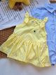 Yellow Gingham