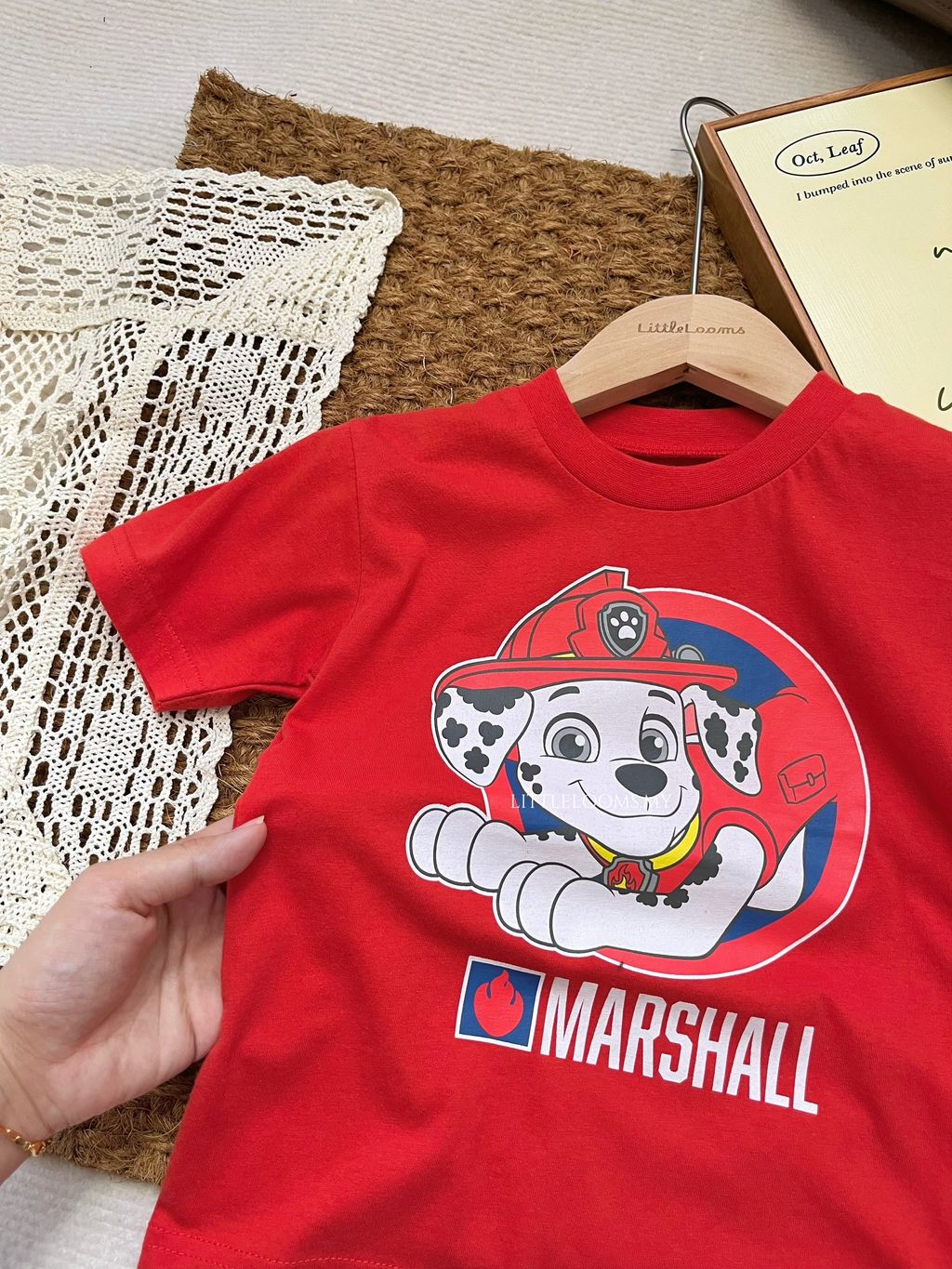 image_3E8C0238-61E6-41EE-A642-31A354FBDB3C_1762504138