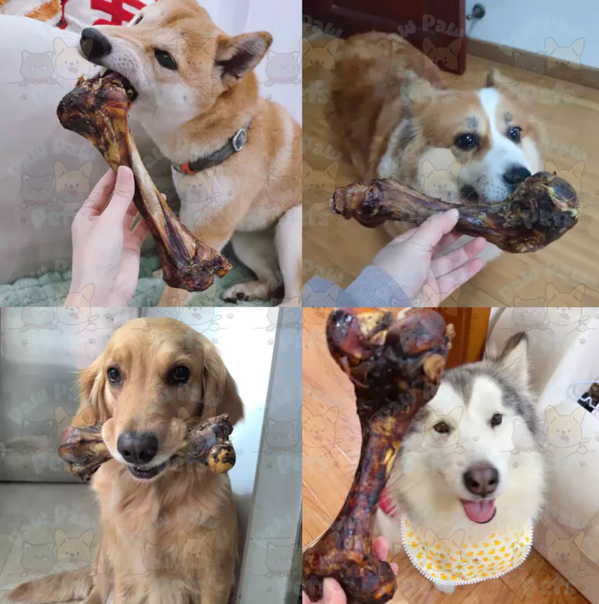 photo_2025-05-20_12-53-03