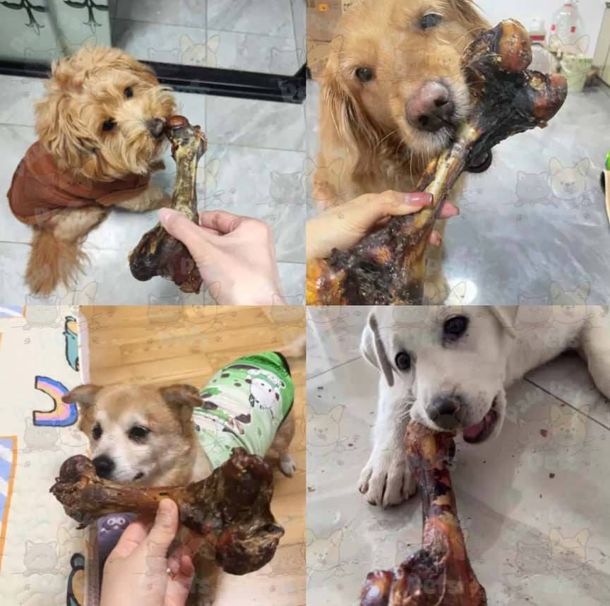 photo_2025-05-20_12-53-06