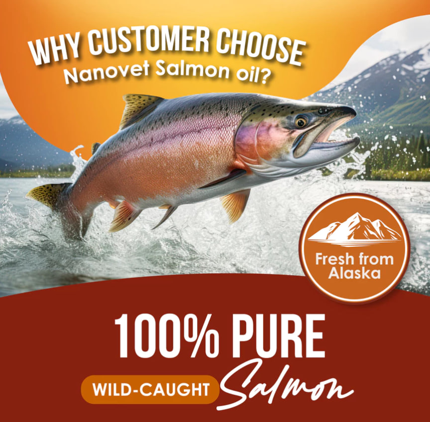 photo_2025-05-20_13-00-03