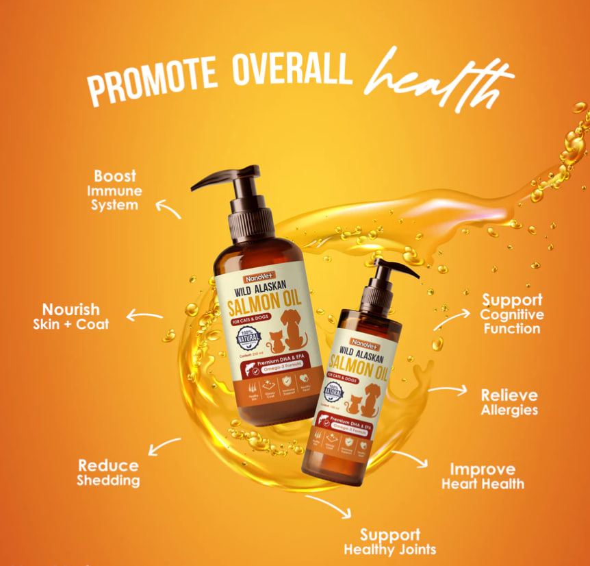 photo_2025-05-20_13-00-06