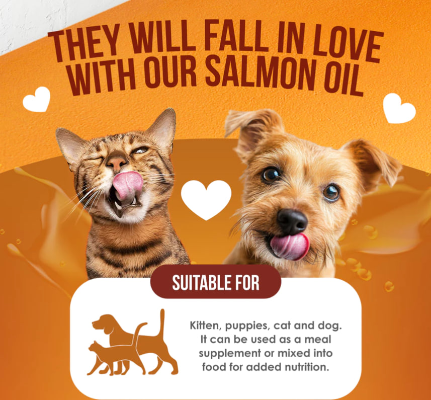 photo_2025-05-20_13-00-12