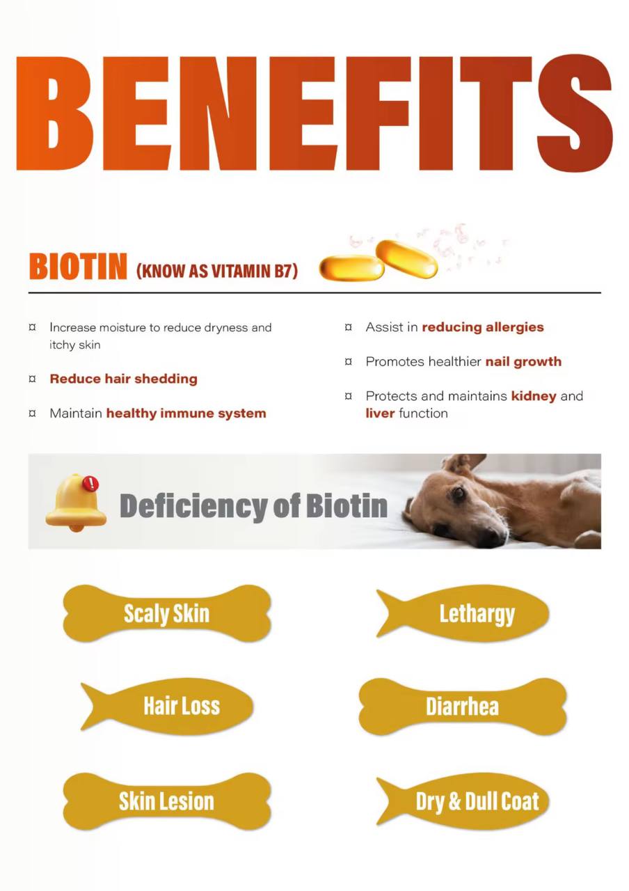 photo_2025-08-11_14-45-26