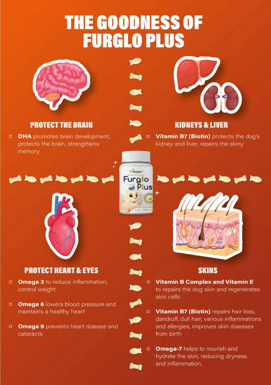photo_2025-08-11_14-46-09