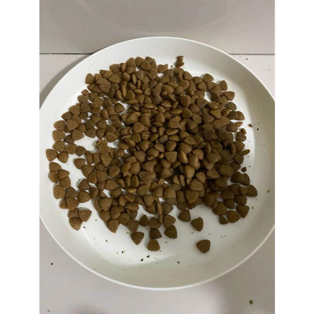 photo_2025-04-17_15-05-38